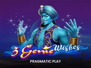 3 Genie Wishes